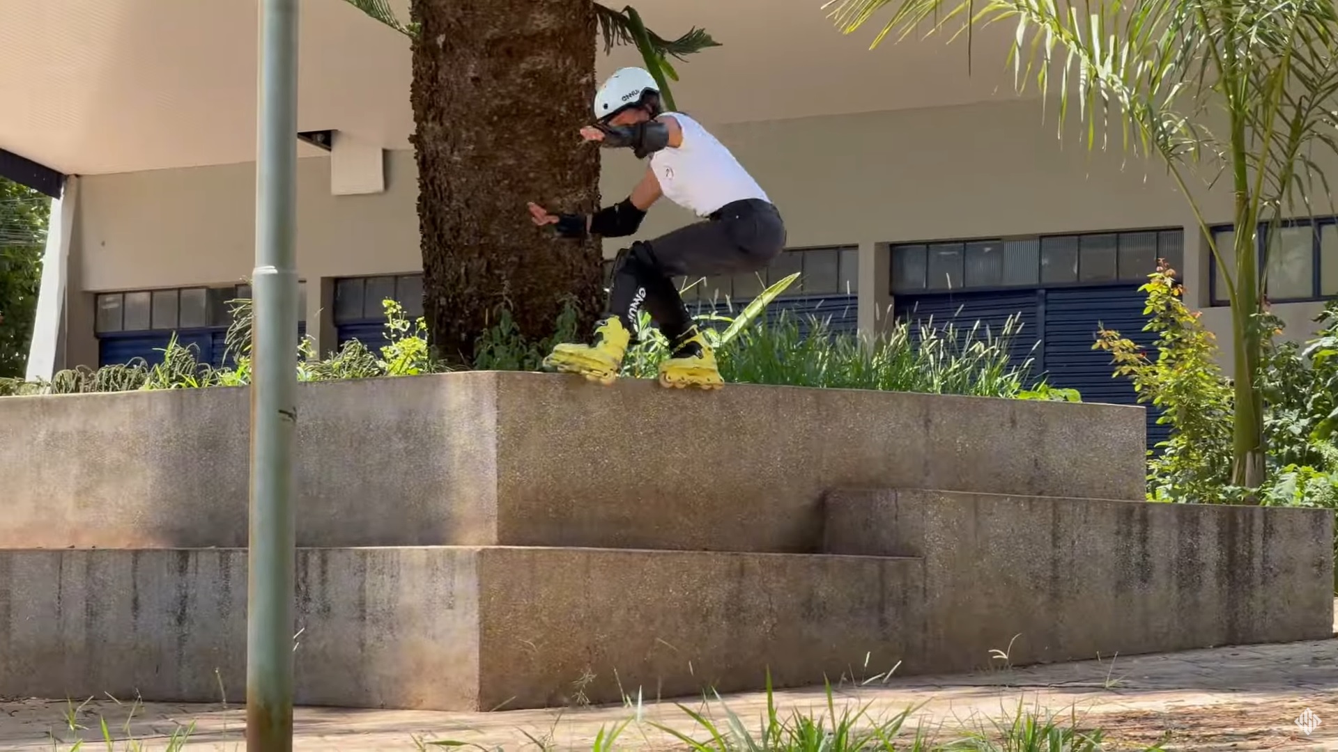 Nicoly Machado – USD File 2025