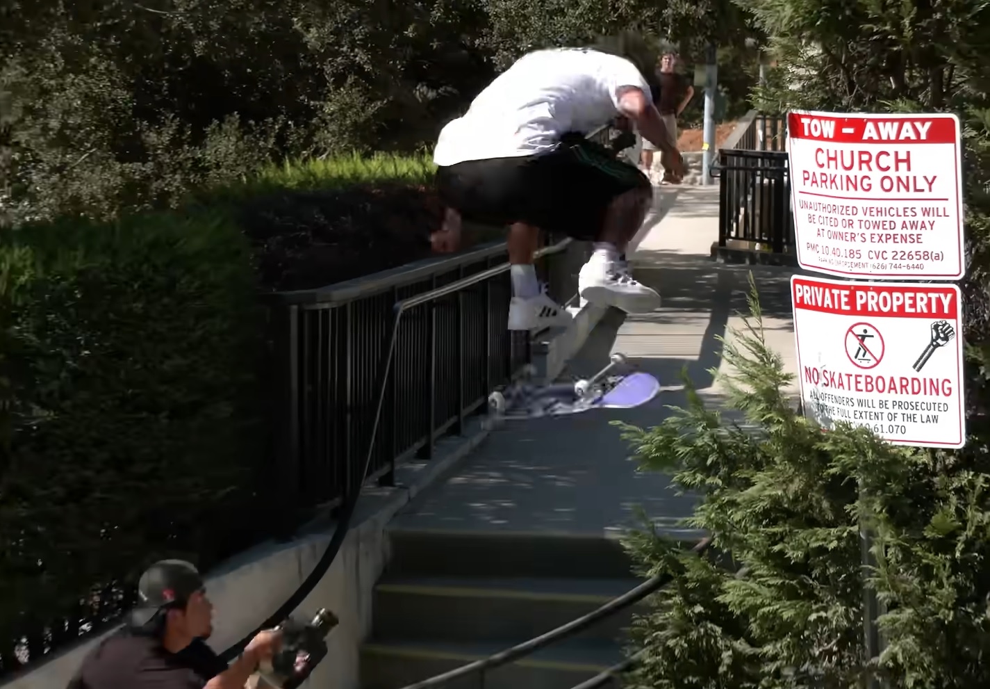 Primitive Skate – WILDFIRE